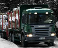 Transport lemn - Transportation