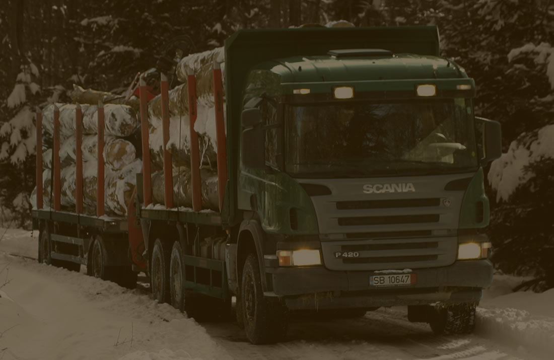 HLV